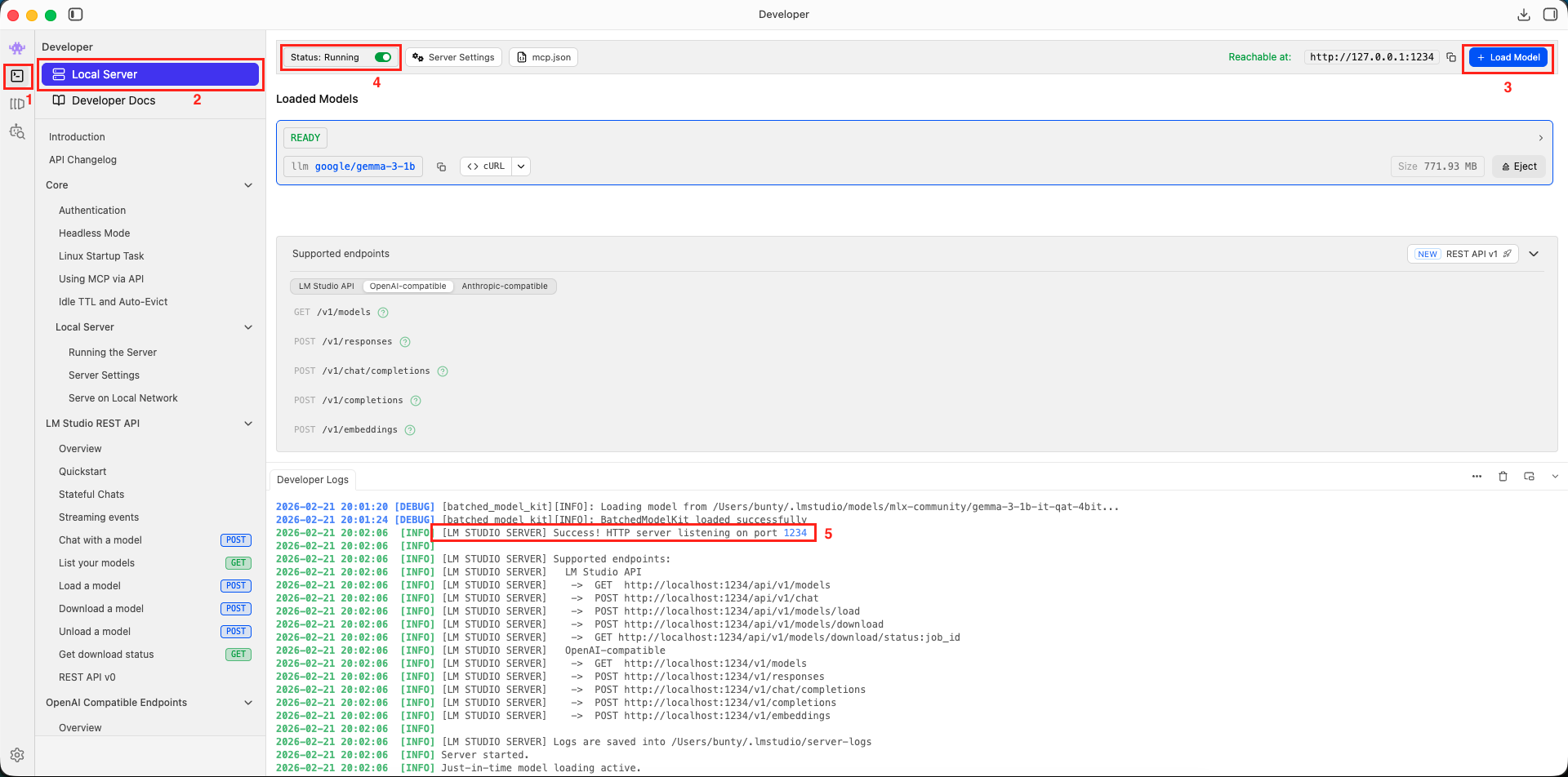 LM Studio Starting the Server