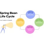 Spring Bean Life Cycle